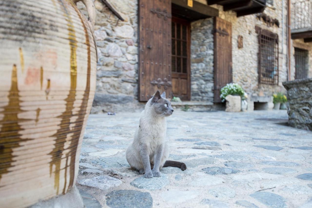 Can Criach Beget Εξωτερικό φωτογραφία